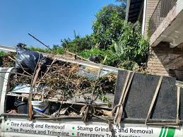 Best Residential Junk Removal  in Harrisville, WV